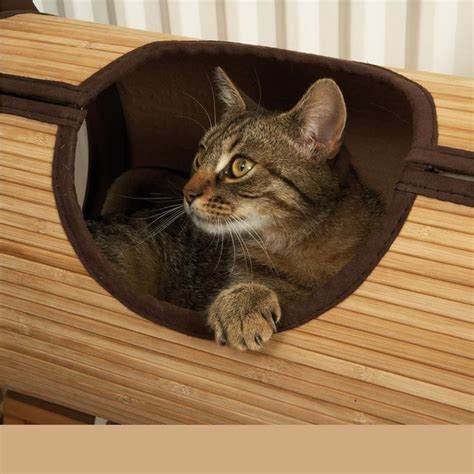 Diy Cat Wall Tunnel - Diy Online