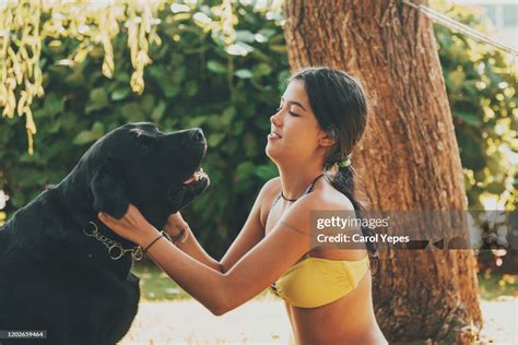 Female Taking Care Of Her Dog High-Res Stock Photo - Getty Images