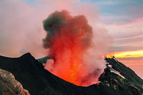 mass extinction scientific american