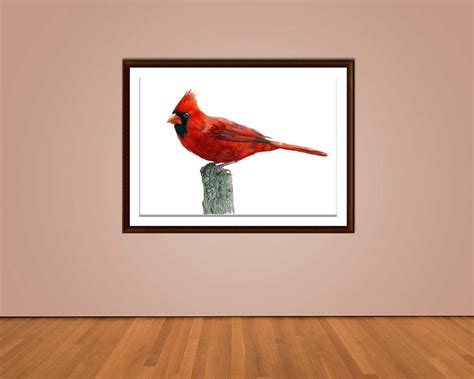 Male Cardinal Bird Watercolor Art Print, Red Cardinal Painting ...