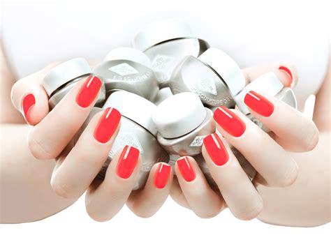 BIOGEL | OUR BRANDS OVERVIEW – Bio Sculpture USA