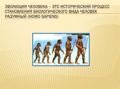 Происхождение человека. 9 класс - презентация онлайн