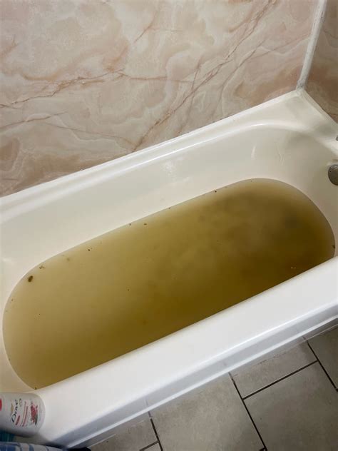 Carly Janes' Private Diary: Her Raw Reaction To The Leak Image 6
