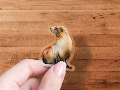 seal sticker premium quality seal decal seal fan gifts seal bumper