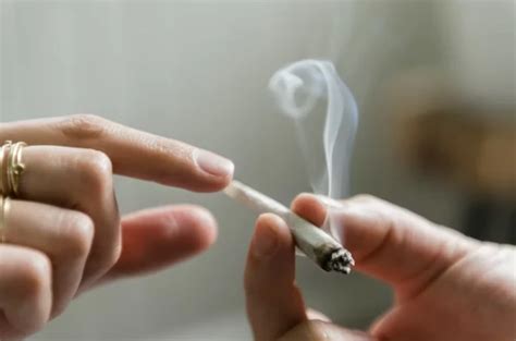Como Passar A Brisa Da Maconha - Maconha: o que é o transtorno por uso de cannabis, que afeta até 20% ...