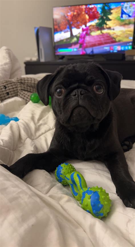 Lyla.fit (u/Lyla-fit) - Reddit