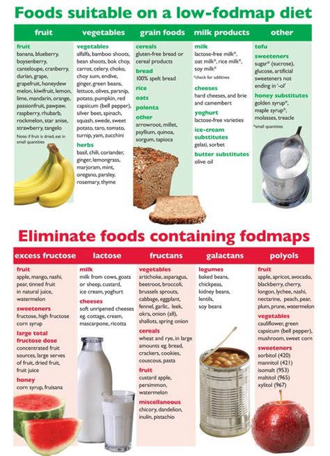 low-fodmap-diet-fructose-intoleranz • Fructopia