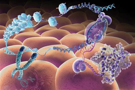 dna  genetics  behance