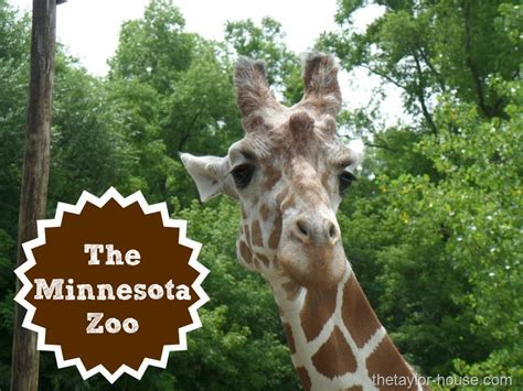 A Perfect Day at the Minnesota Zoo | The Taylor House