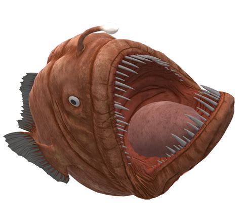 Angler Fish isolated on a Transparent Background 23835813 PNG
