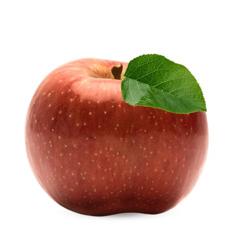 evercrisp cmi orchards