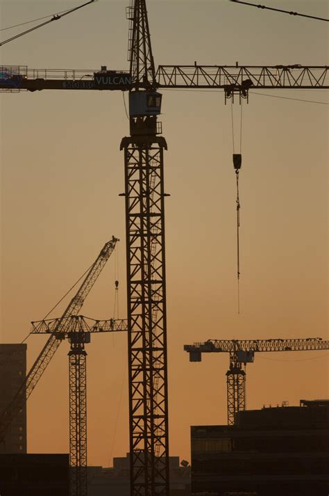 I hear Seattle loves cranes. : r/SeattleWA