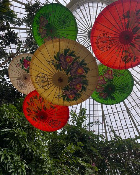 Janaya Stephens (@janaya_stephens) • Instagram photos and videos