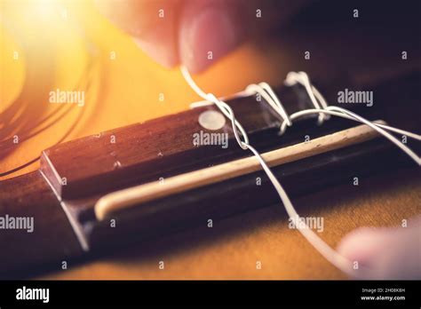 Restring classical guitar concept. The man restring his classical ...
