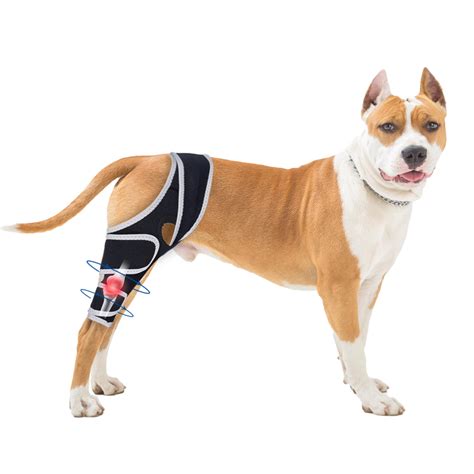 Dog Knee Brace for Torn Acl Hind Leg - Protect Dog's Joints,Adjustable
