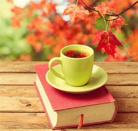 Tea and Books Wallpapers - Top Free Tea and Books Backgrounds ...