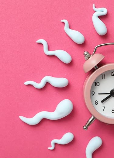 O Coito Interrompido Funciona - Como funciona o coito interrompido | Gineco