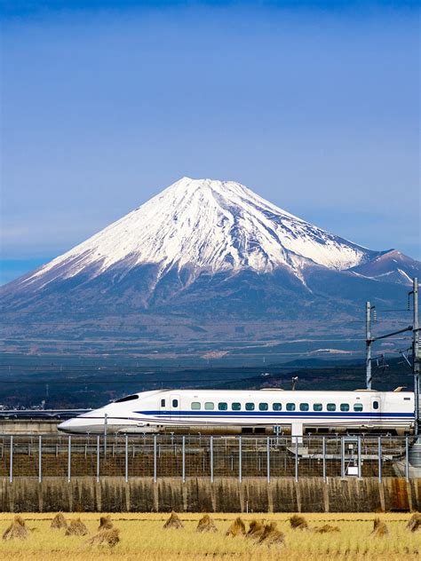 Experience the Magic of Cherry Blossom Season in Japan