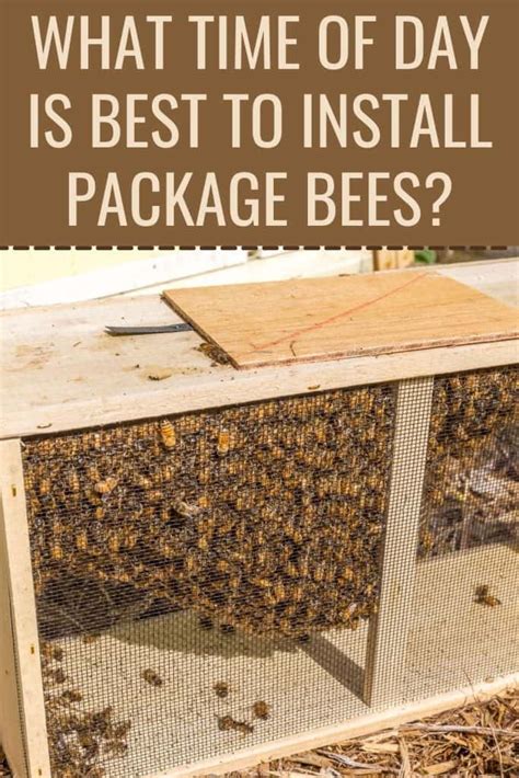 how to install package bees