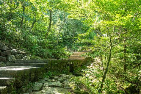 Tawnee Stone Photos, Download The BEST Free Tawnee Stone Stock Photos