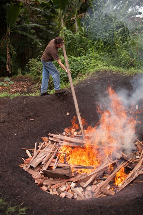 Biochar System