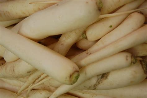 Редька японская (Дайкон)