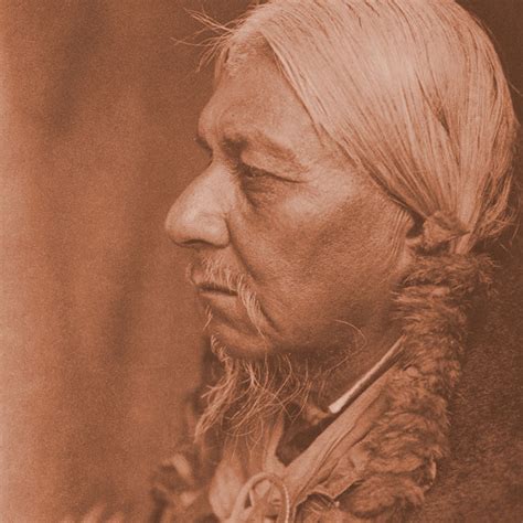 quapaw  curtis gallery