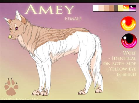. Amey - Reference Sheet . by B0RZOI on DeviantArt