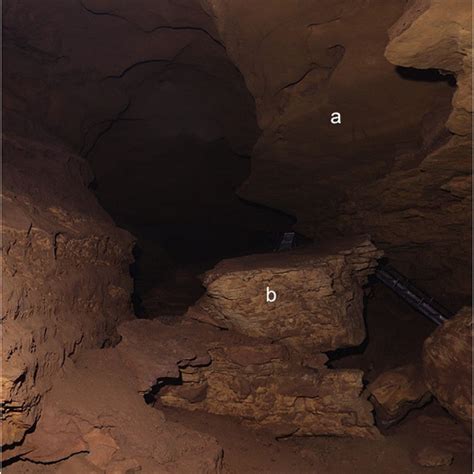 Maps and profiles of Carlsbad Cavern and Lechuguilla Cave (courtesy of ...