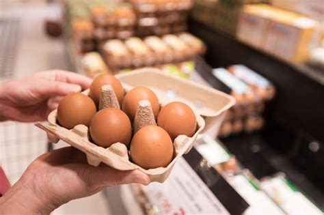 Organic Eggs: One of The Largest Organic Egg Suppliers in World