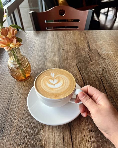 Fog & Fern Coffee House (@fogandferncoffeehouse) • Instagram photos and