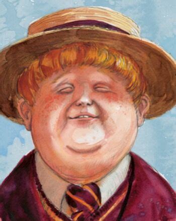 dudley dursley fictional characters wiki fandom