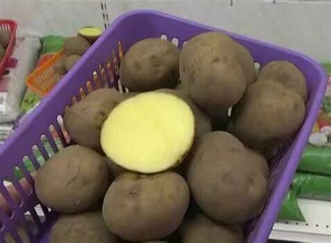Спаржевый горох. Томат Сибирский карлик (непас.). Семенной картофель ...
