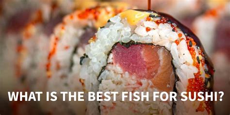 how to cook fish for sushi