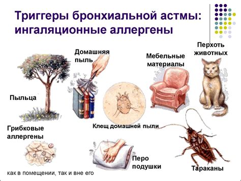 Бронхиальная астма и хобл: особенности диагностики и лечения ...