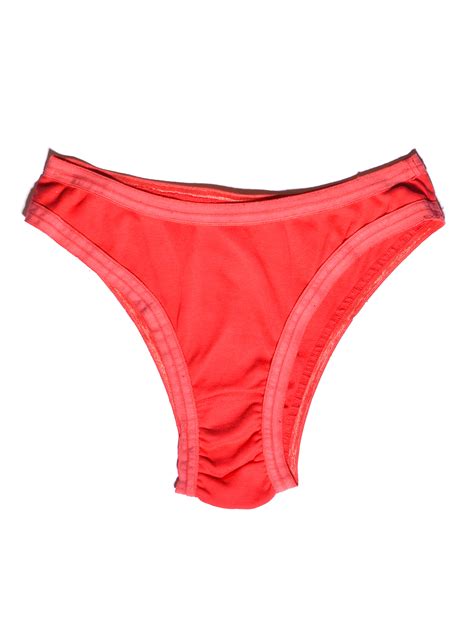 Organic Cotton Bikini Panty • Candy Apple – Judi Rosen