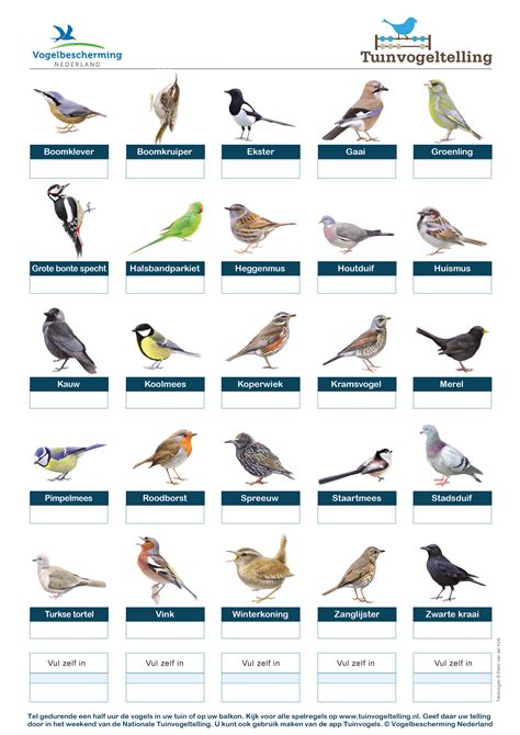 tuinvogels herkennen jpg speelbos gilze