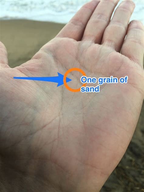 What Is Bigger Than A Grain Of Sand - A grain of sand | Coffee With The Lord