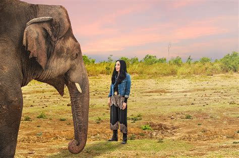 Cher Explains the Fight for Kaavan in 'Cher & The Loneliest Elephant ...