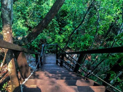 The ULTIMATE Guide To Semuc Champey: Serenity In Solitude | Beyond my ...