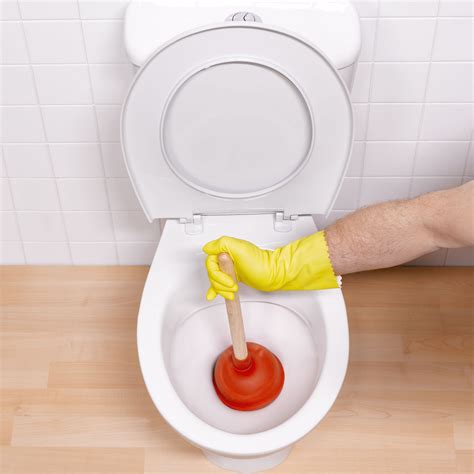 Clogged Toilet Unclogged at Evan Olsen blog