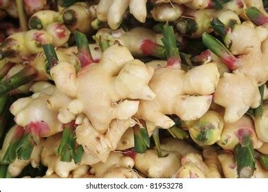 Galanga Thailand Stock Photos and Pictures - 3,132 Images | Shutterstock