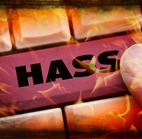 Hass-Postings auf Facebook lösen Razzien in Berlin aus - WELT