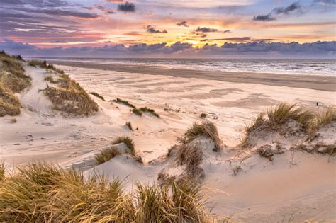 view  dune top  north sea stock photo  image