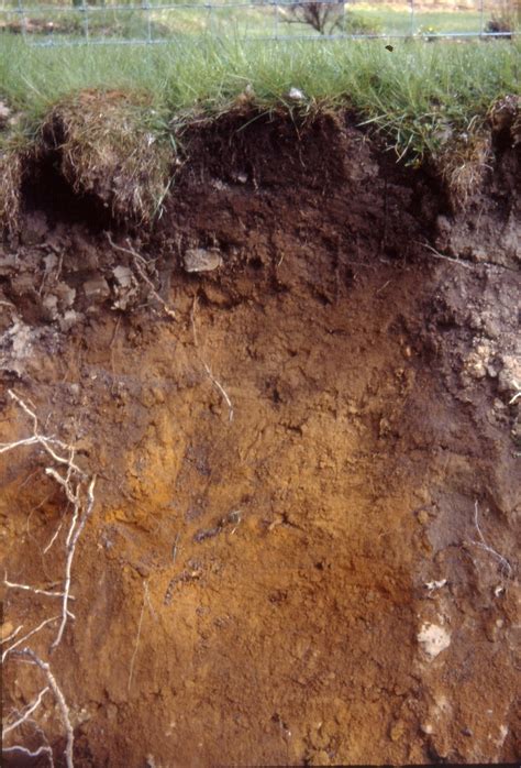 Soil sciences relationships | ResearchGate
