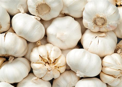 cloves  garlic  oz  martha holt blog