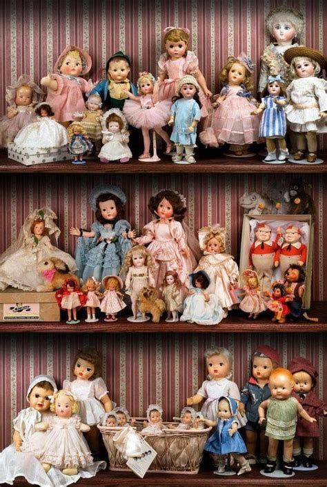 gorgeous shelved doll collection   dolls   magical
