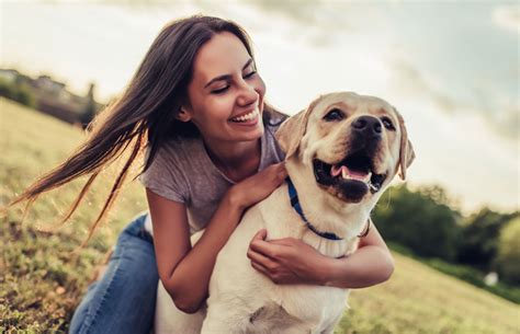 claim pet insurance medibank