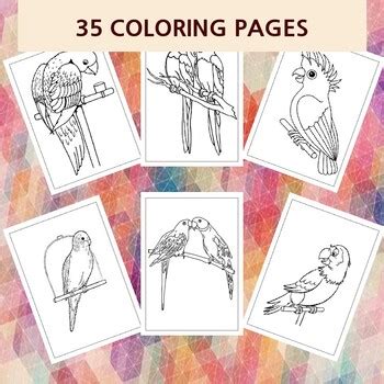 Discover Nature's Palette: Printable Parrot Coloring Pages for Creative ...
