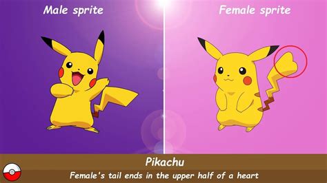 Gender Differences in Pokémon (Pikachu, Rattata, Butterfree etc) - YouTube